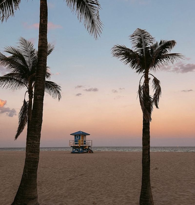 Two palm trees framing a lifeguard hut at sunset