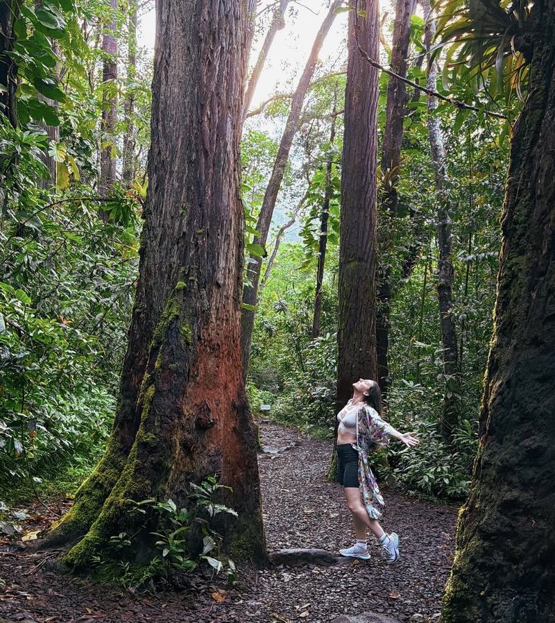 Woman with arms out between giant rainforest trees