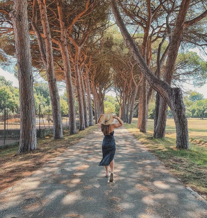 Woman in a sun hat walking down a pine tree avenue
